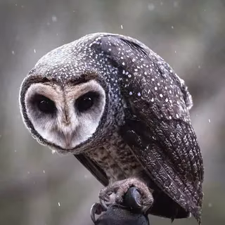 PHQGgCPNR6RHKdr17i5JYgiO4wCPuywnXzbxs0Wb.webp