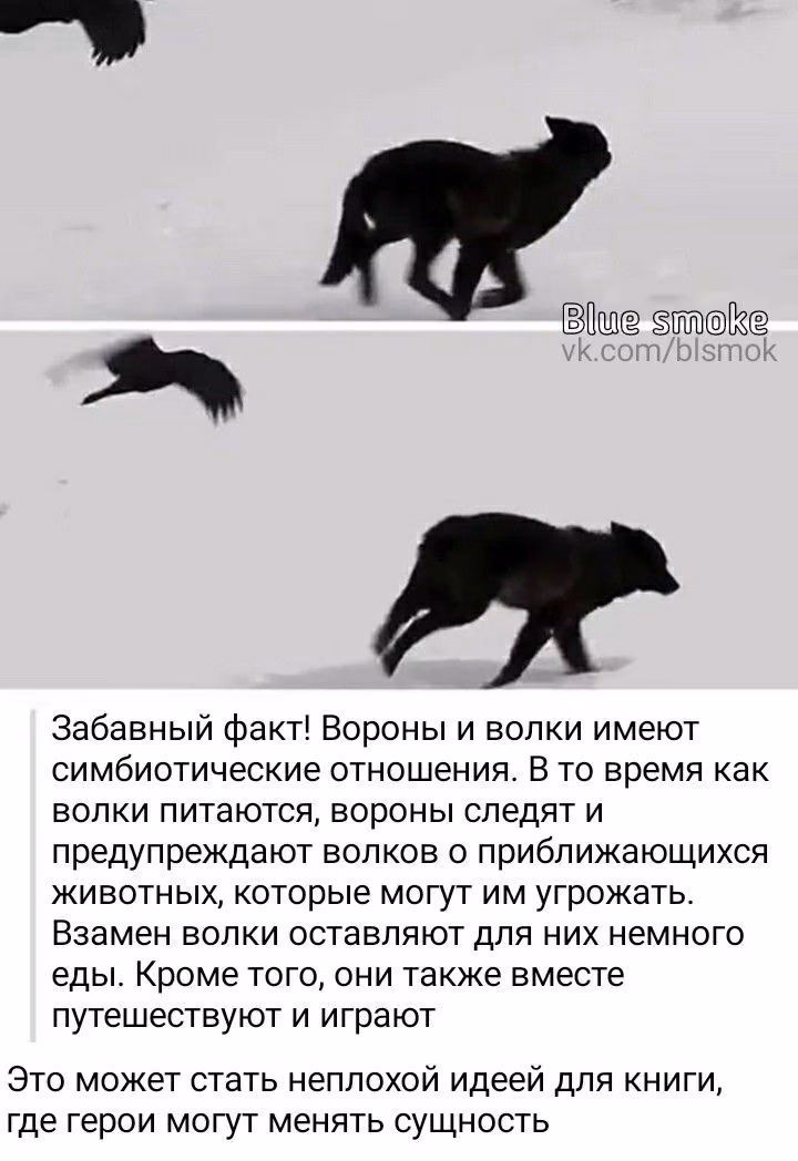 INXyJjMVWQW2YpPuwn90x0Pv5HyHspoQax04Bk5i.jpg