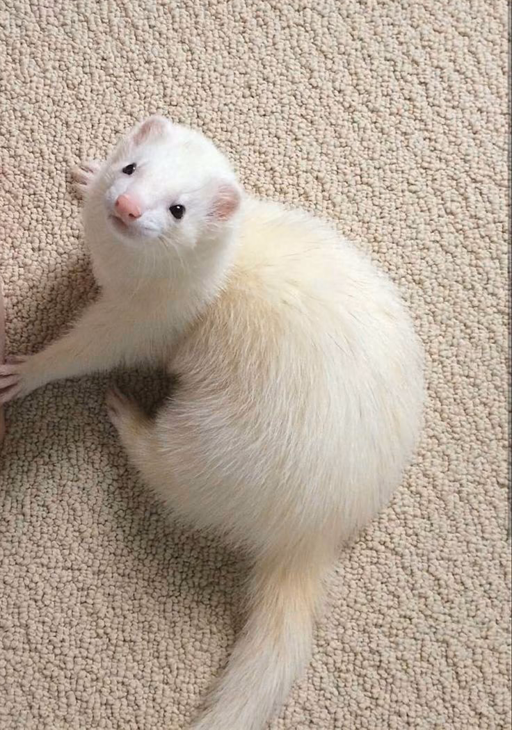 L2xzkbz27mqUGSLTvfoLrt5QTkB5gl46efcNZFPz.jpg