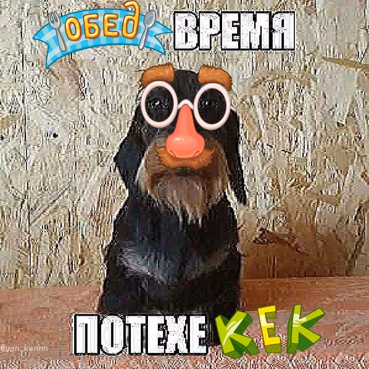 A7y94e6NhJhreOL0QoH2S7kgrkdg3I2ygzPL09aQ.jpg