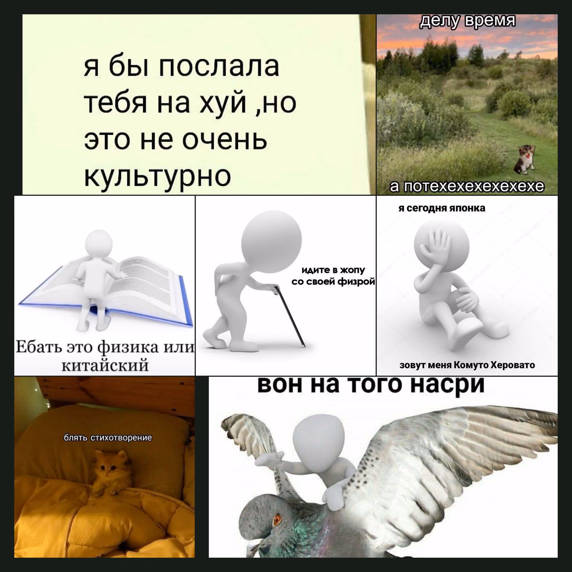 355eba46c210f706728a88c142349412.avif