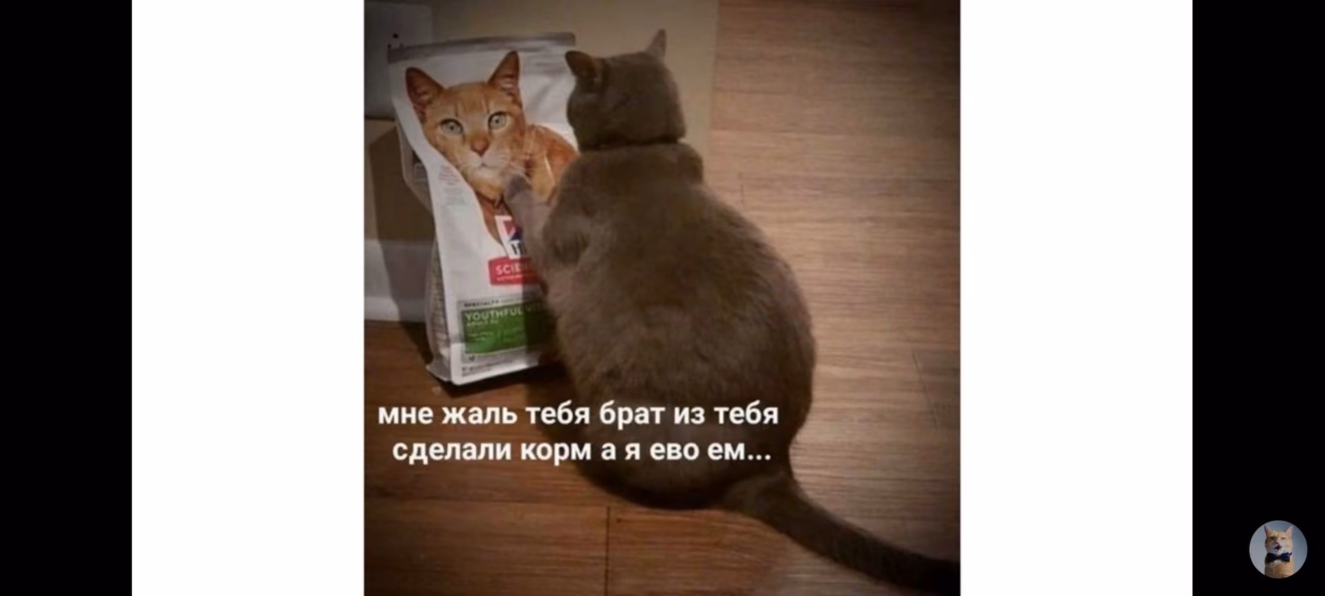 3568afec194fd515884f19751bbf5f11.jpg
