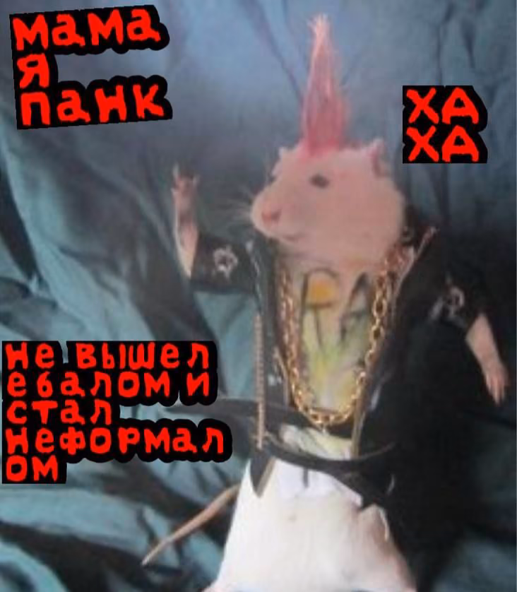 356e2069c79e33c42f50241ef4388170.jpg