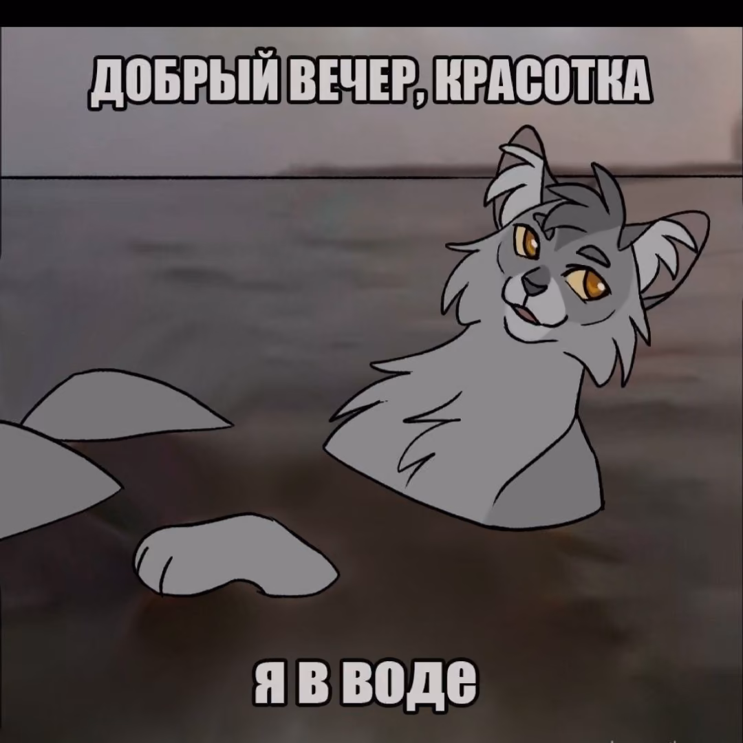 3571a89828fbd9b65ed3fbcc9dd05cd7.avif