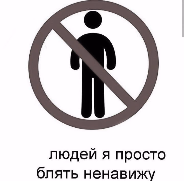 357295742dc8c3a3aacdd8c4436ad5d9.avif
