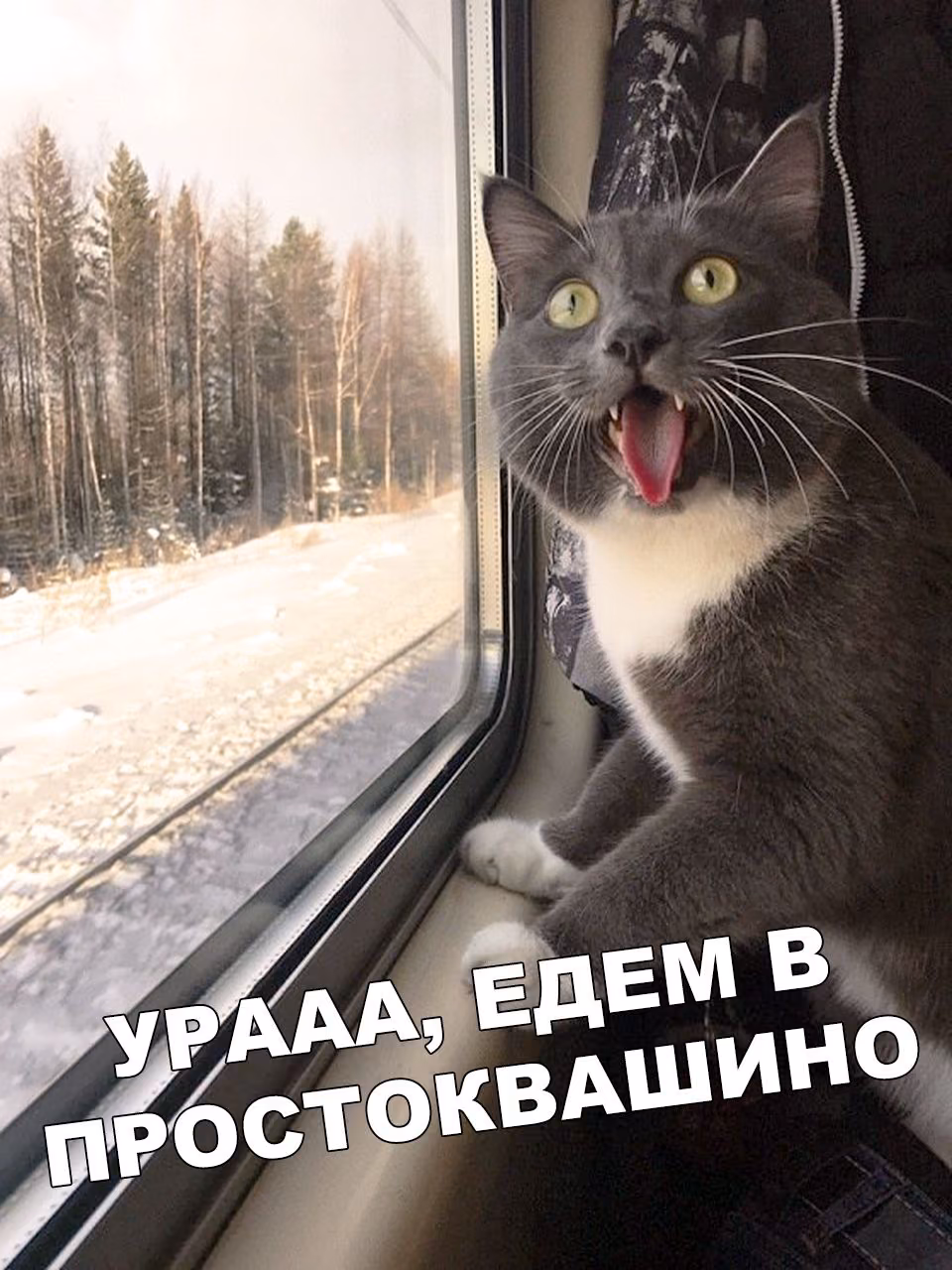3572d9f2dfc34e23900a091be3f6822f.jpg