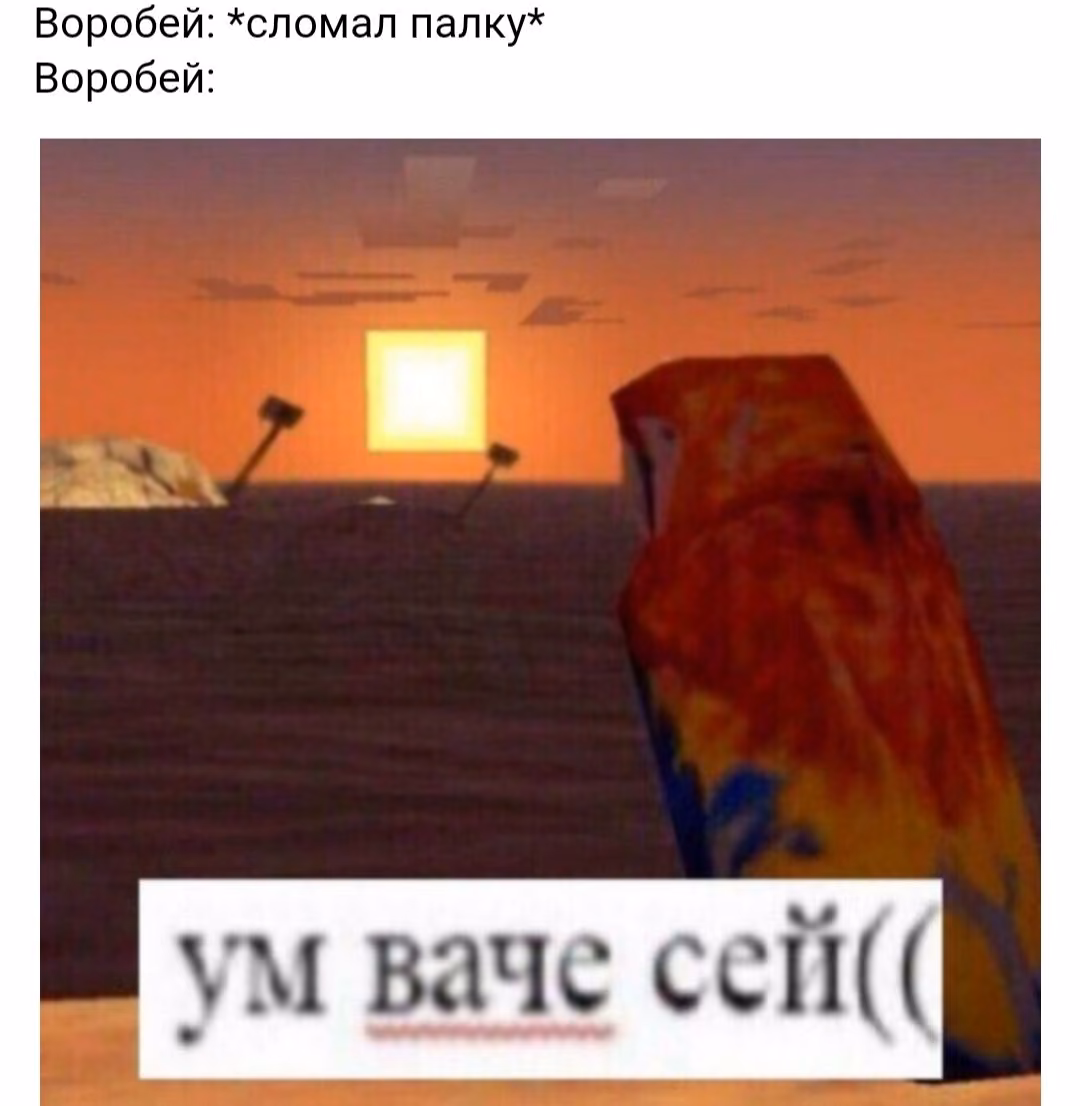 3582b18f309479e3f025d7983f48402d.avif