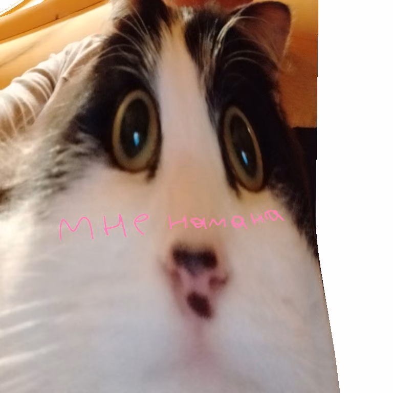 3583ab1ff5b26a979c2a943828aeeec4.jpg