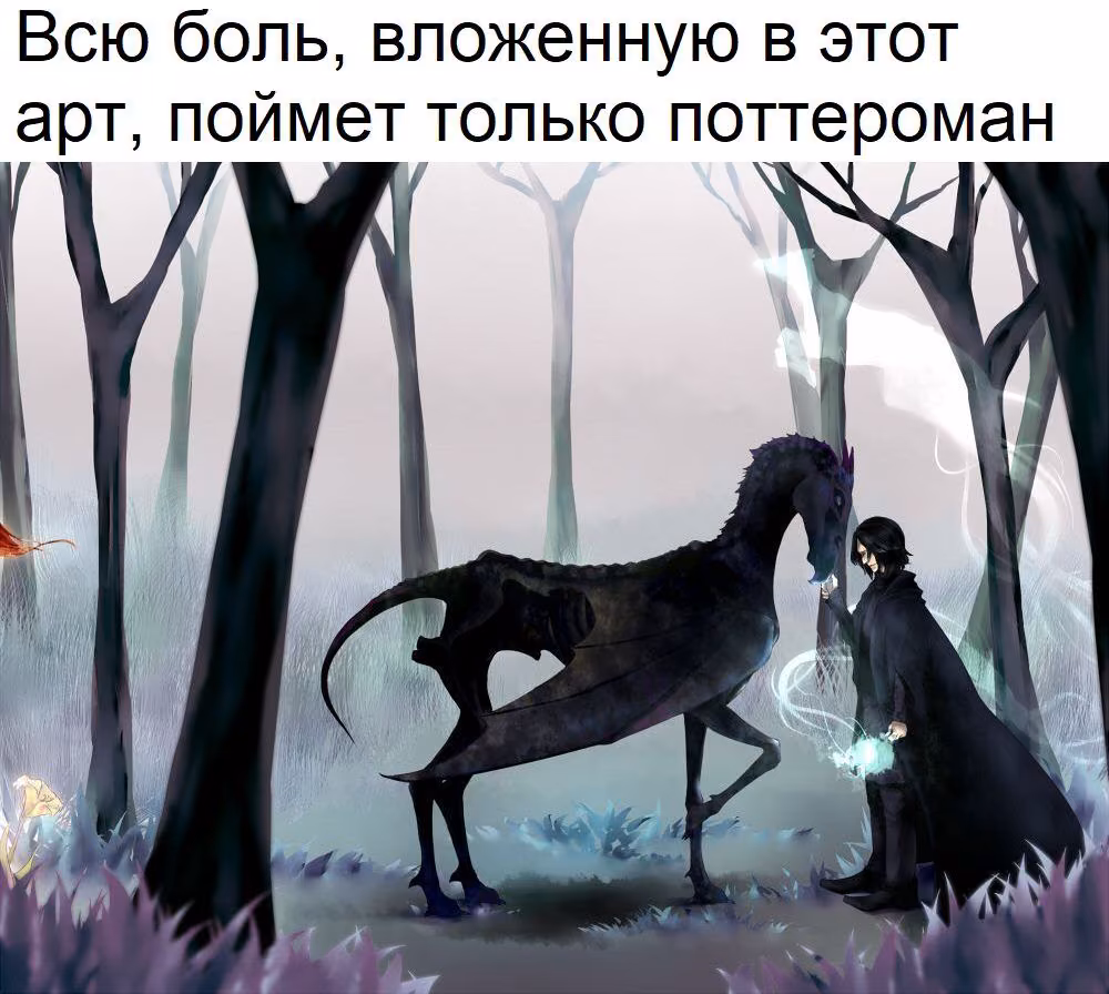 d3063583a446fb060baa633d33dd1c38.jpg