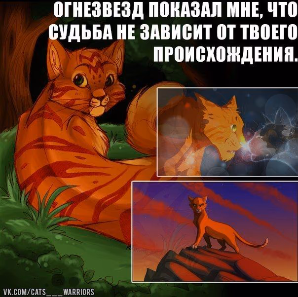 35c11d29bb3ad83d16ebba8ddb4ea1a6.avif