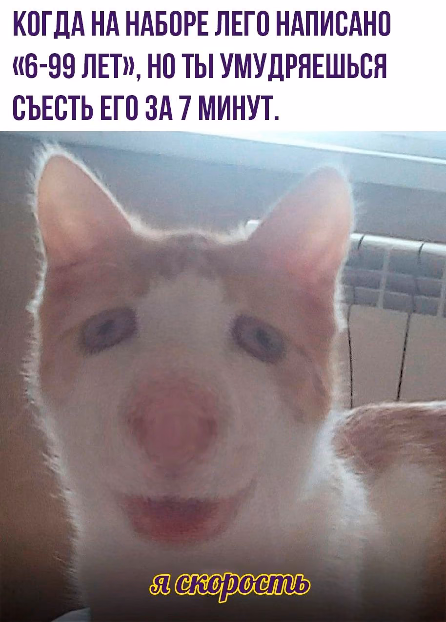 35c4cb7d74edcf6e92c501f8649e3c43.jpg