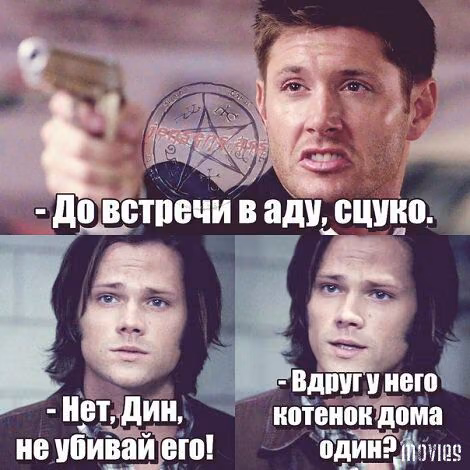 35e19dfbedf171cfcafa7b3a750b4b1e.avif