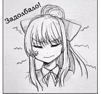 35f3f4e7cd56dbcfe1675a7759080b01.avif
