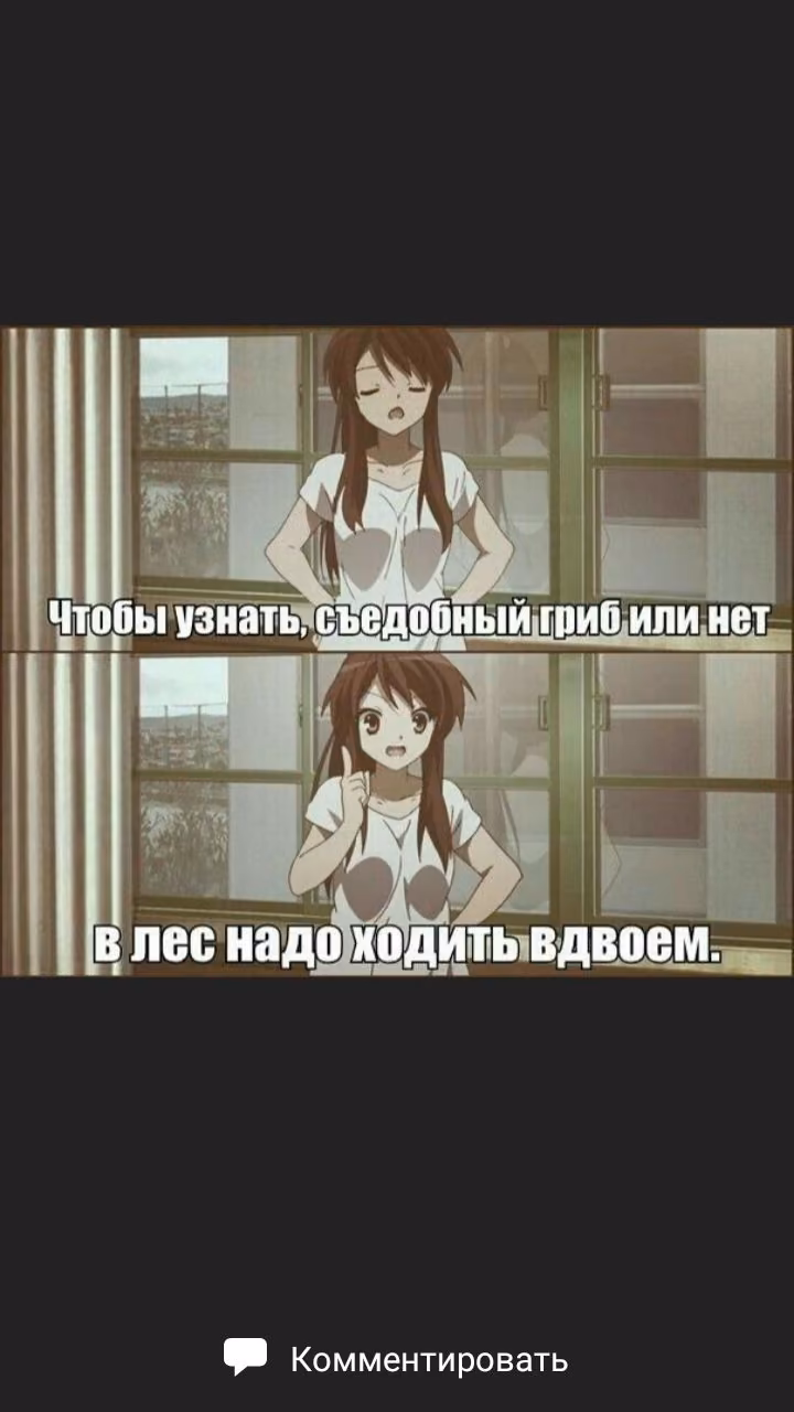 35fa743ab82b9fa5e9e2aa421435a5b6.avif