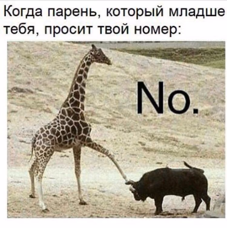 36040e884b5fe6be13ceeef606a90021.jpg