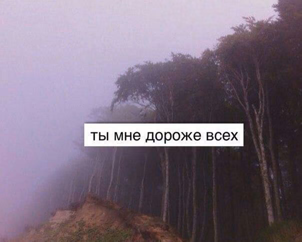361b5152c1b79460135b78a61df90aec.jpg