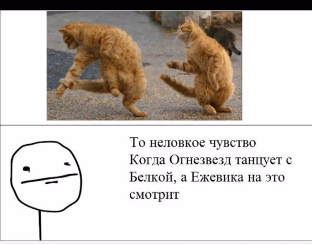 361e302a49aa1894aa7974af26ca54db.avif