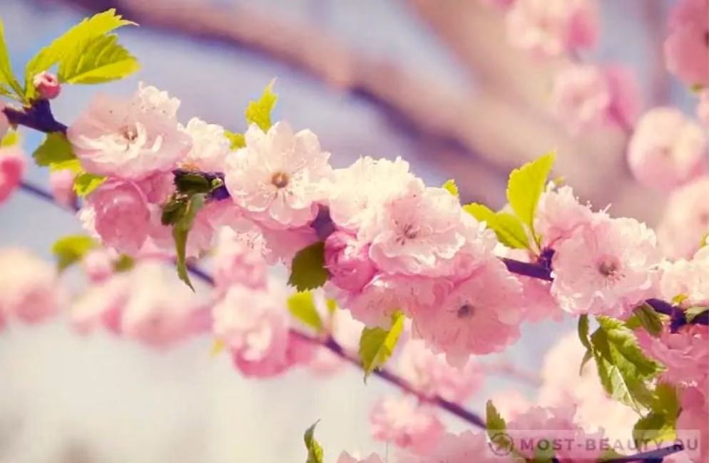 362dfc0552628f73d2fa48b8d8cb9db5.avif