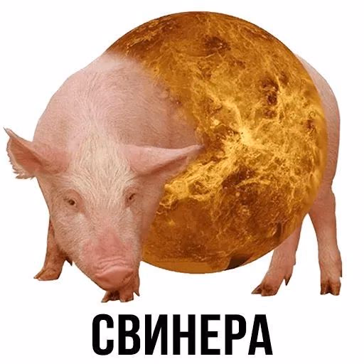 3630b1eaa00c3e2504b265974e650902.jpg