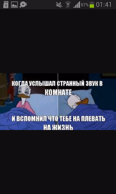 364e7c88d90152dbb3fd11c2a2926d6a.jpg
