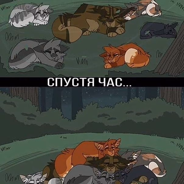 365baa0501bf9c7828cff5502886d32a.avif