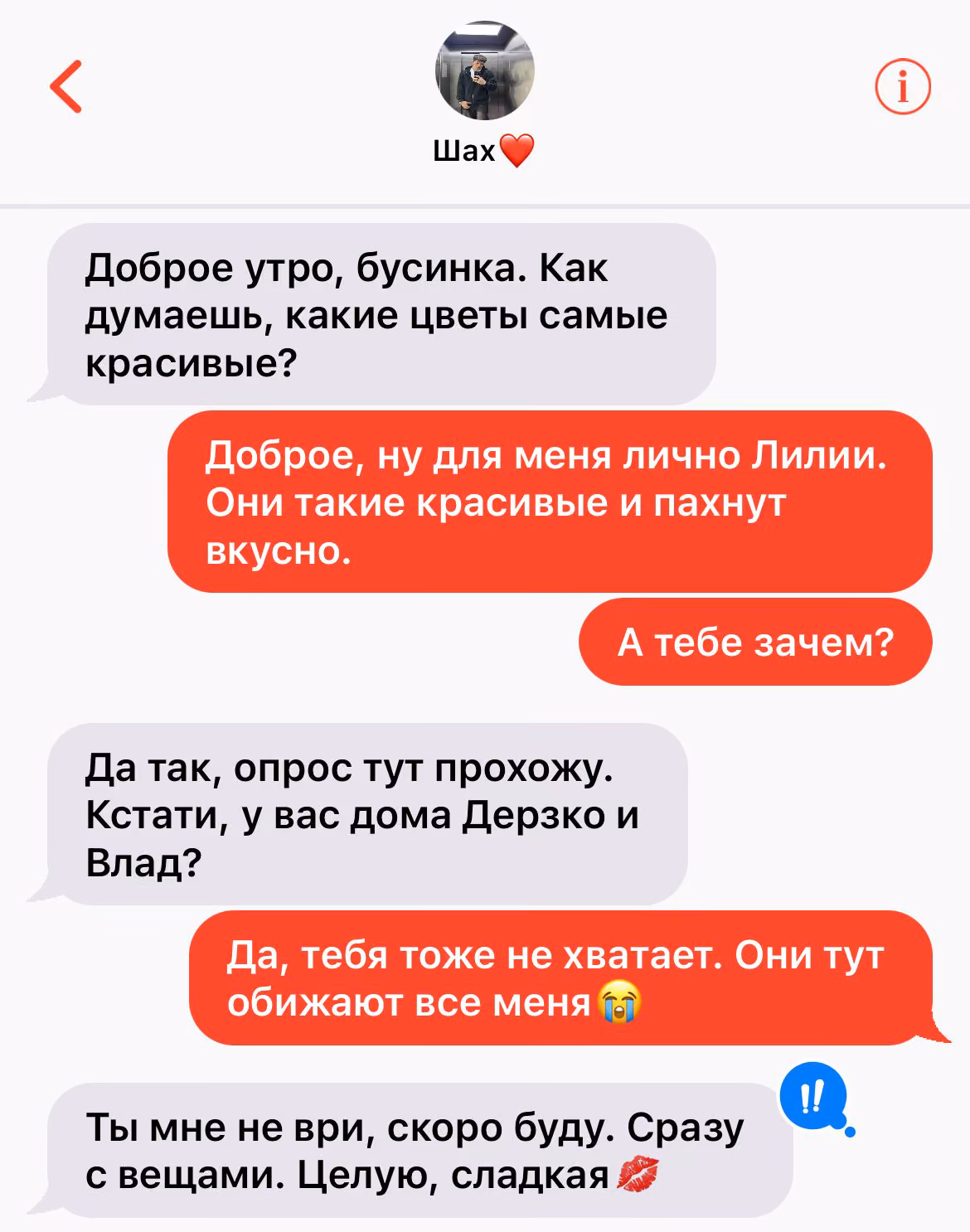 365d3c91734265a8215219651f290b5a.jpg