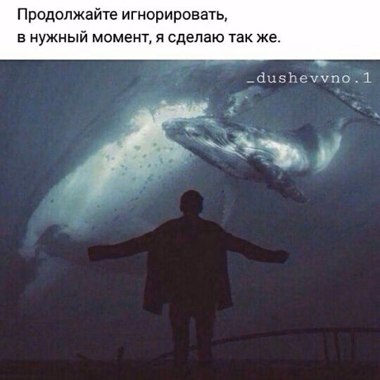 36605e11c5af4846bd53bcfeba1cb289.avif