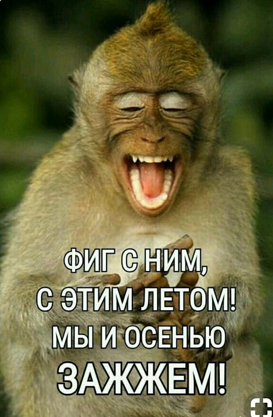 366a5dcb8be85fcc5a7995d3f32720c0.jpg
