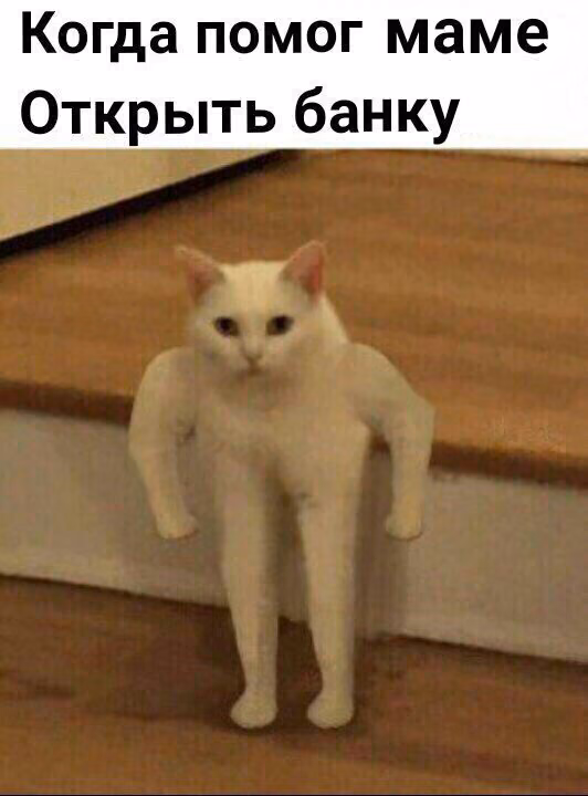 367bc0addf2fd4f7019e374ed69428e6.avif