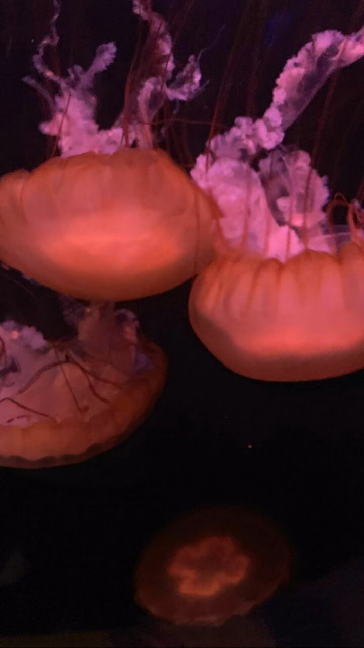 367e5f0a756411de04813d21de16c918.jpg