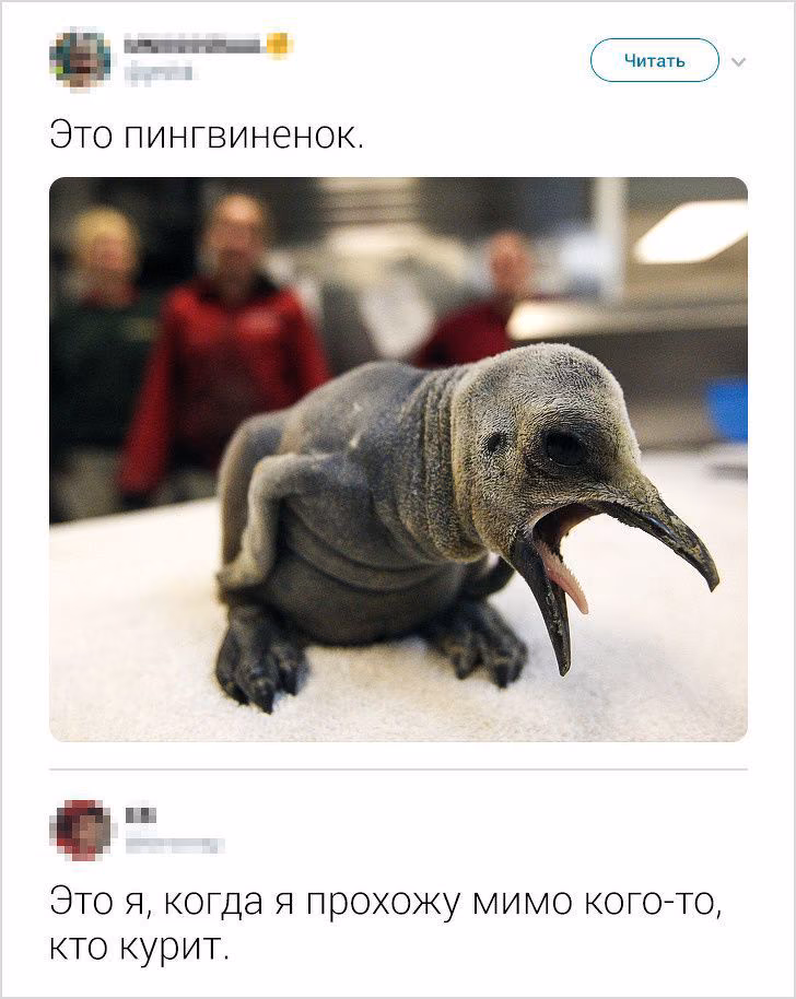 368302e9691c79611eb6582a660e24d8.avif