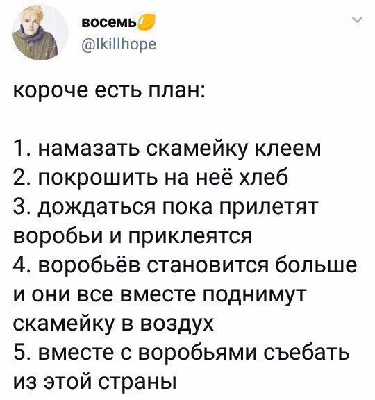 368c7b730780460bc2bd7ce396e017cc.jpg