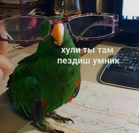 368ec0b9c7672b769e756429a7a9494a.jpg