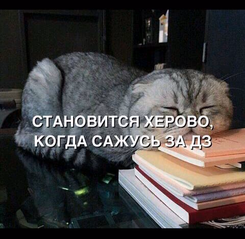 36954f1022040bed51b4e4a524793379.jpg