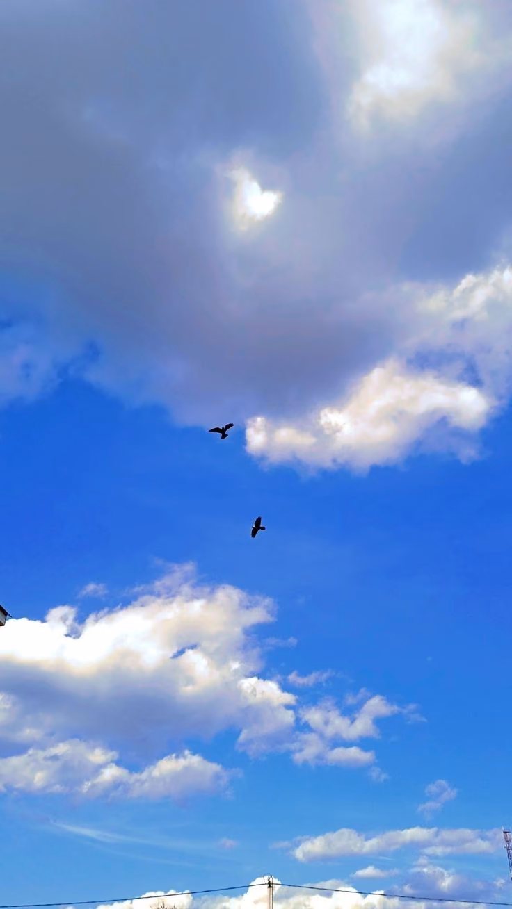 36ac5bff17b8eff47b724505a049b487.avif