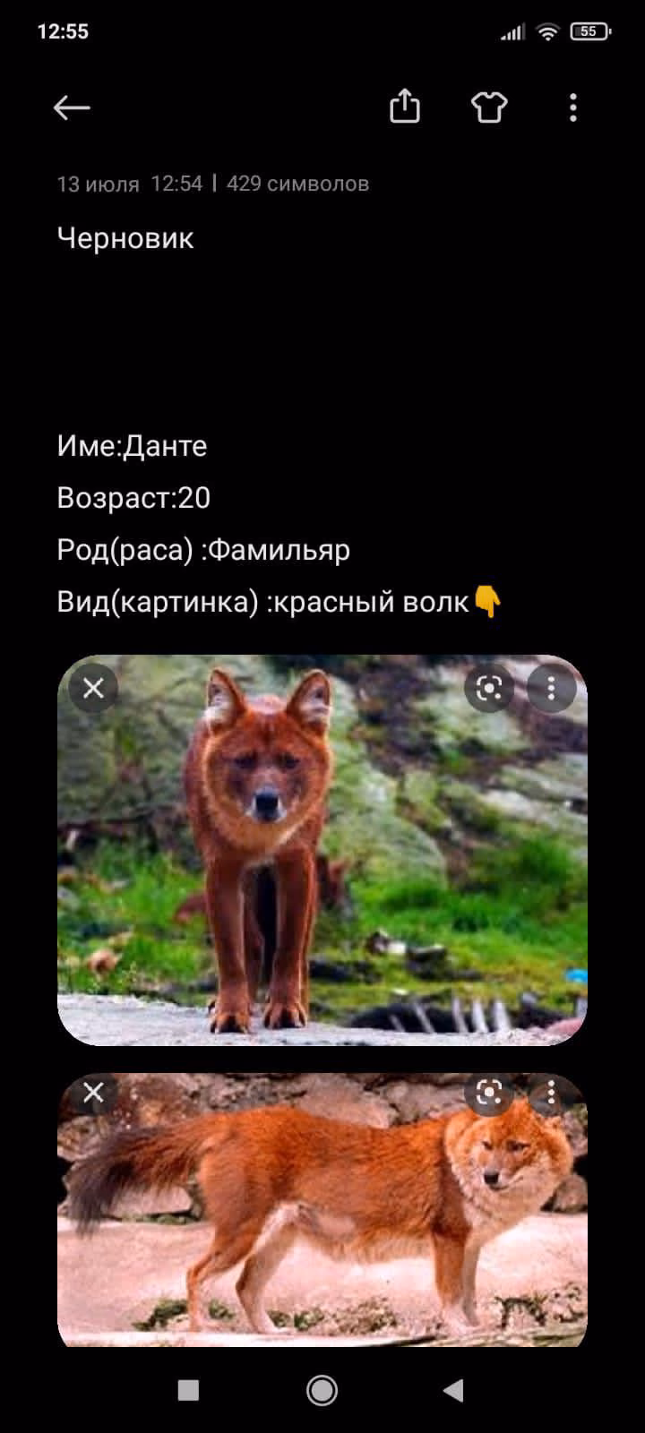 36b2ffb693e041f8cb8d08fa5dc82ca6.jpg