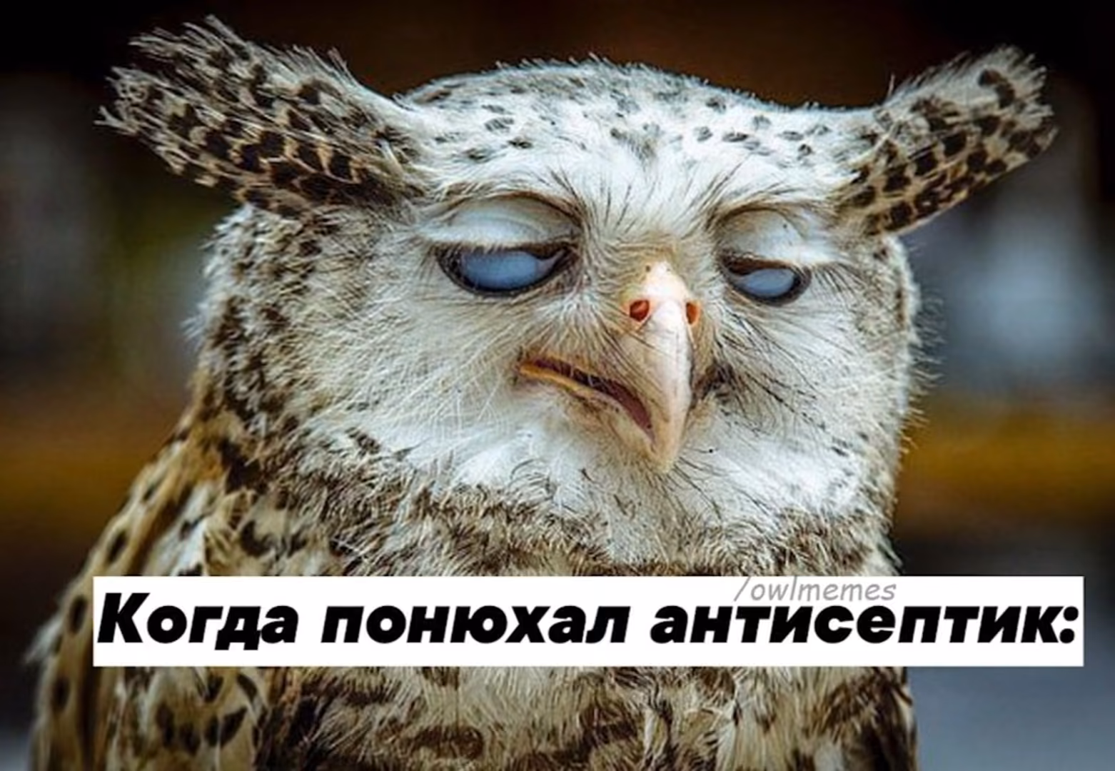 36b5bcb3a6f98bf427576ca6d5015dc7.jpg