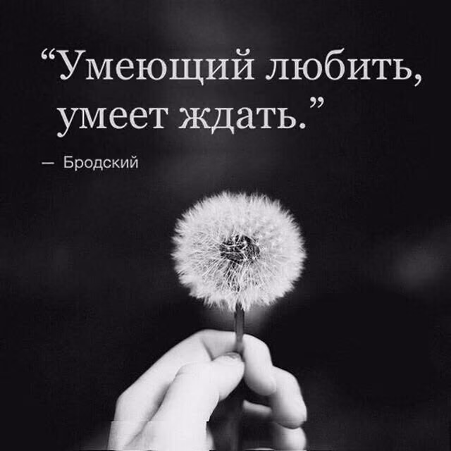 36b68c3912cddd348465e7f4b79eabcc.jpg