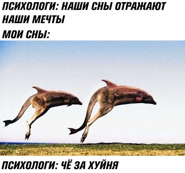 36c22df10fa5bee2403433c524eaeacc.avif