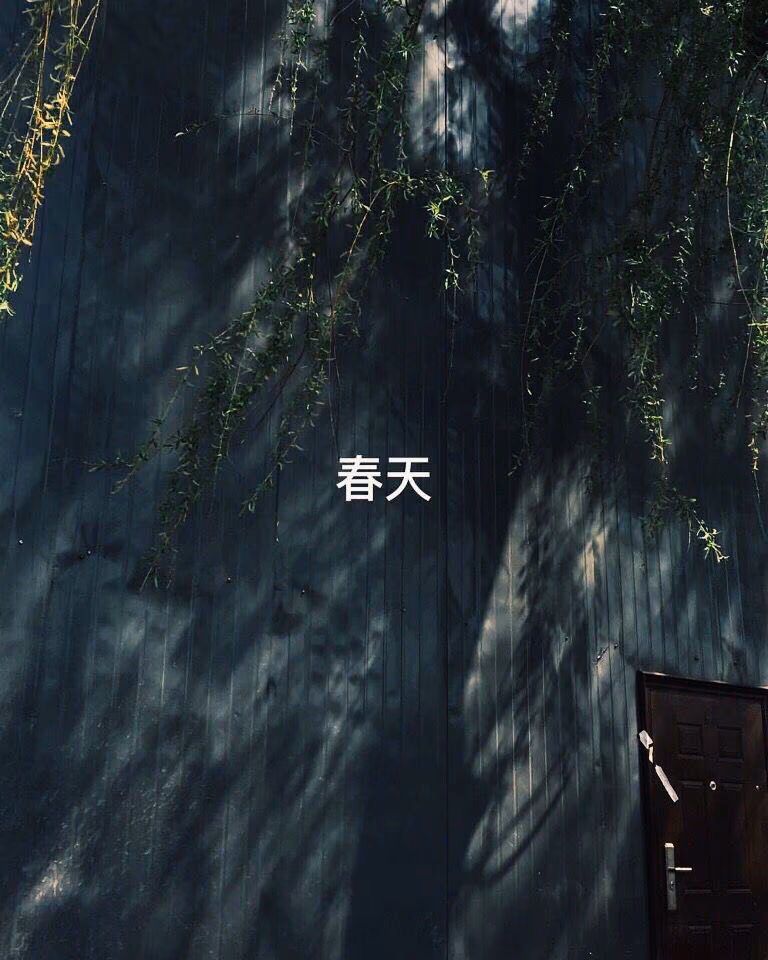 36c4743093d90ae50770029a98c36a66.avif