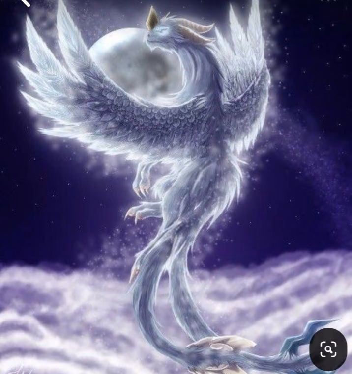36cb1ca972030ab5f0b842793c522c98.avif