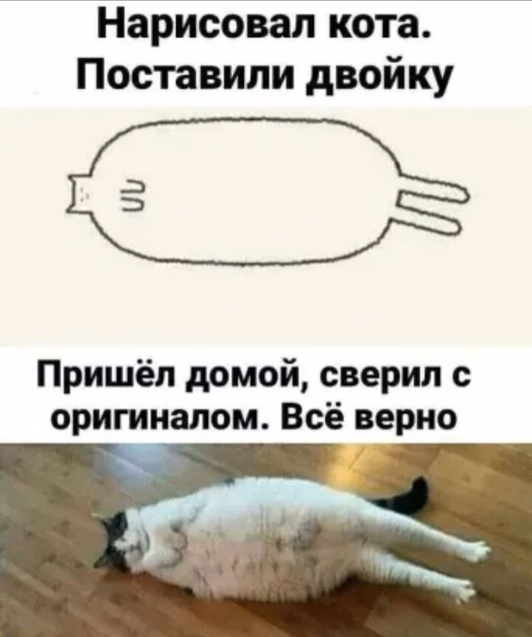 36d16cacd6d6c66cd06f701fa9d1329b.jpg