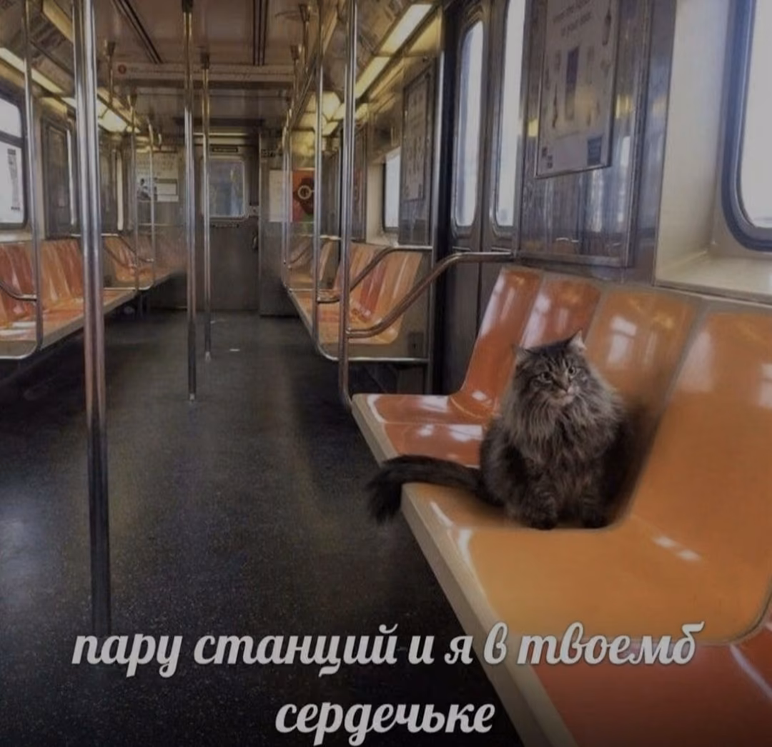 36d56a38b7ff082280187af528606390.jpg