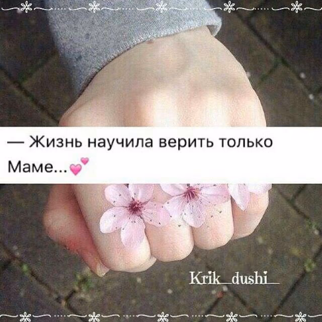 36e579357f3a0968518630d10f5e6627.jpg