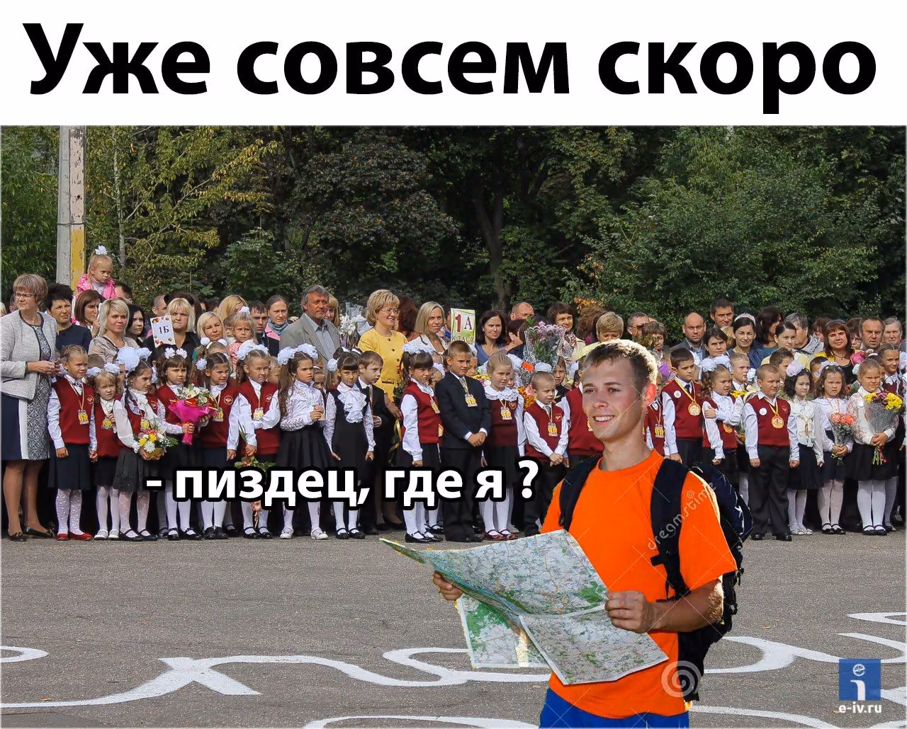 3708cf276ae76ee9d6b02311348a80a9.avif