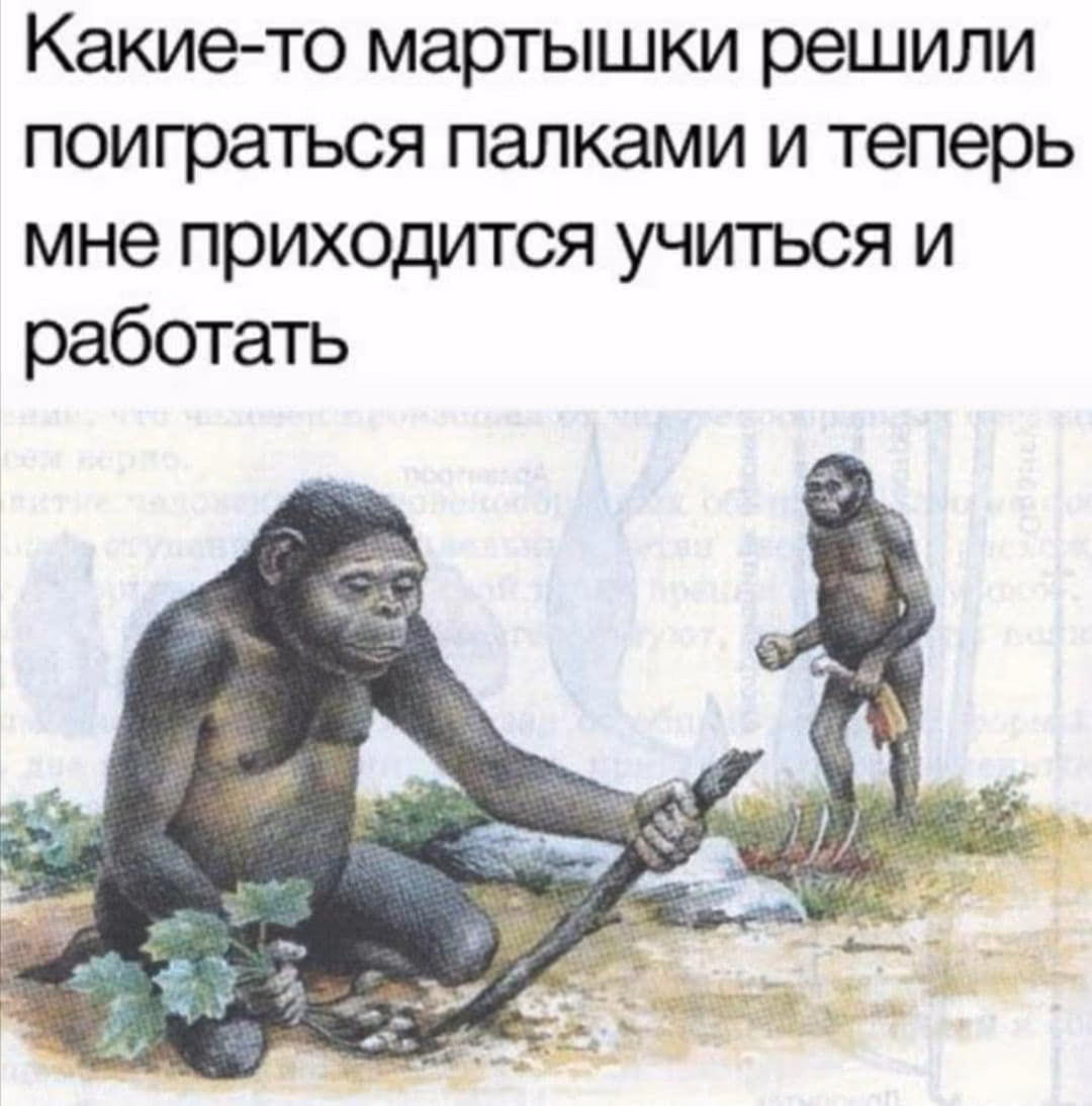 371592eb97627360a34ce8ca9f7373b2.jpg
