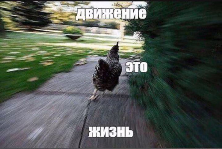 371ef4b16cf82a41eeef3d537032c02d.jpg
