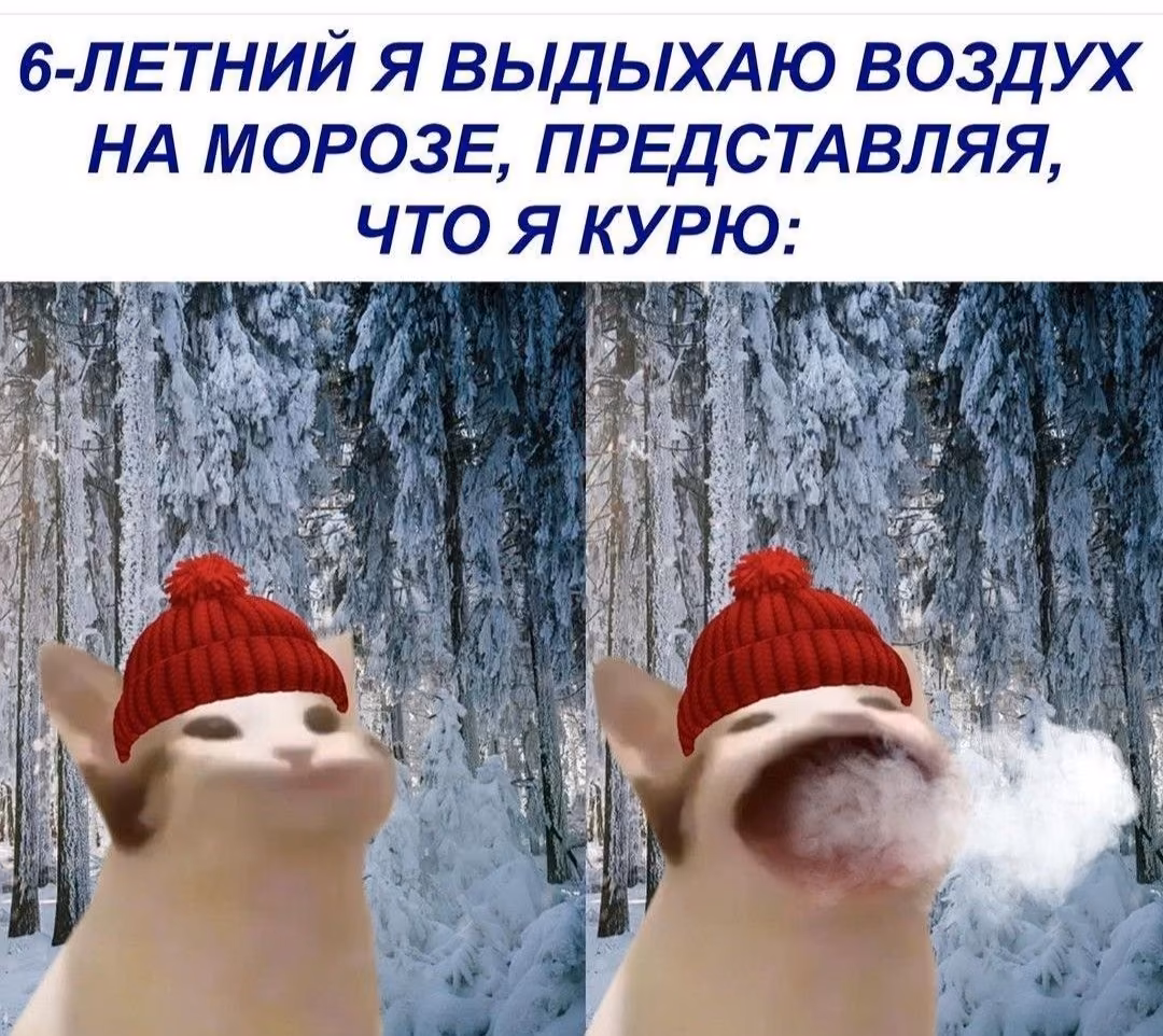 37210362d28a089c52592e8d0faa3d3c.jpg