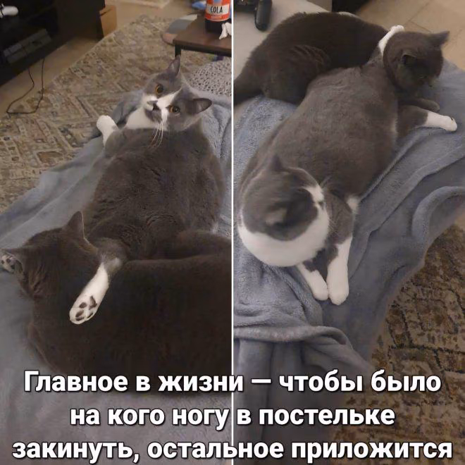 372a470a86cbbf0b8a429f21398d1a0b.jpg
