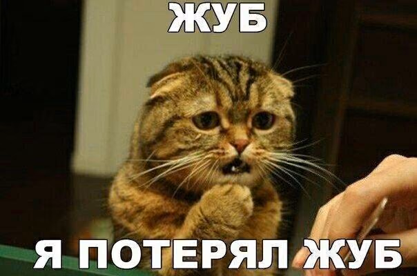 372df2082fe53c1f1e6042710e34c48a.jpg